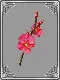 Red+Cherry+Blossom+Branch